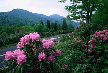 Springtime in Franklin, NC