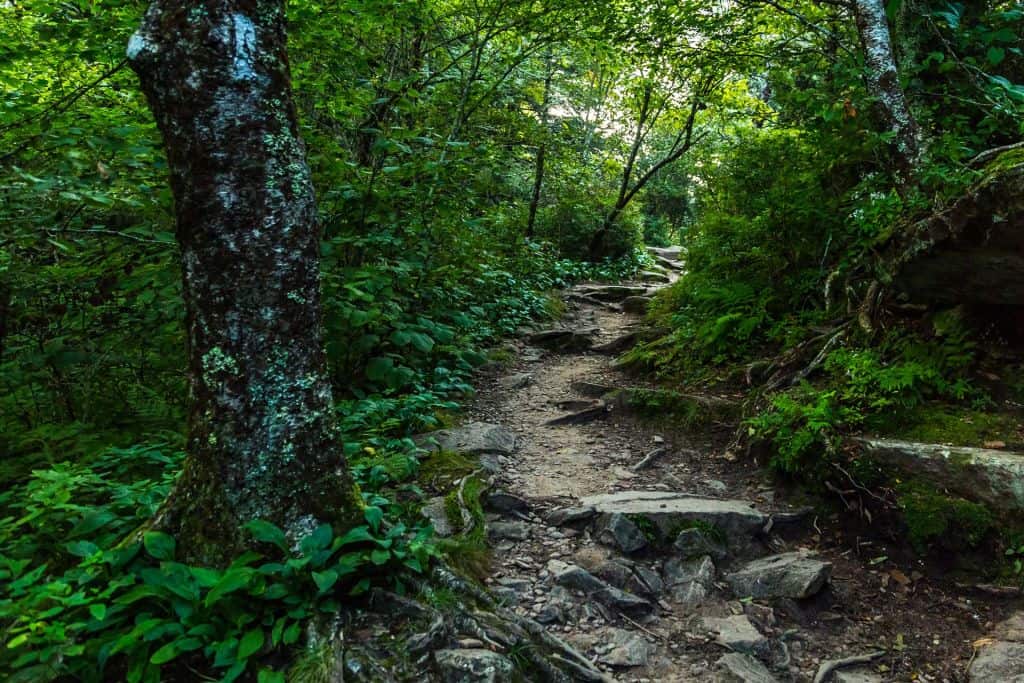 Appalachian Trail