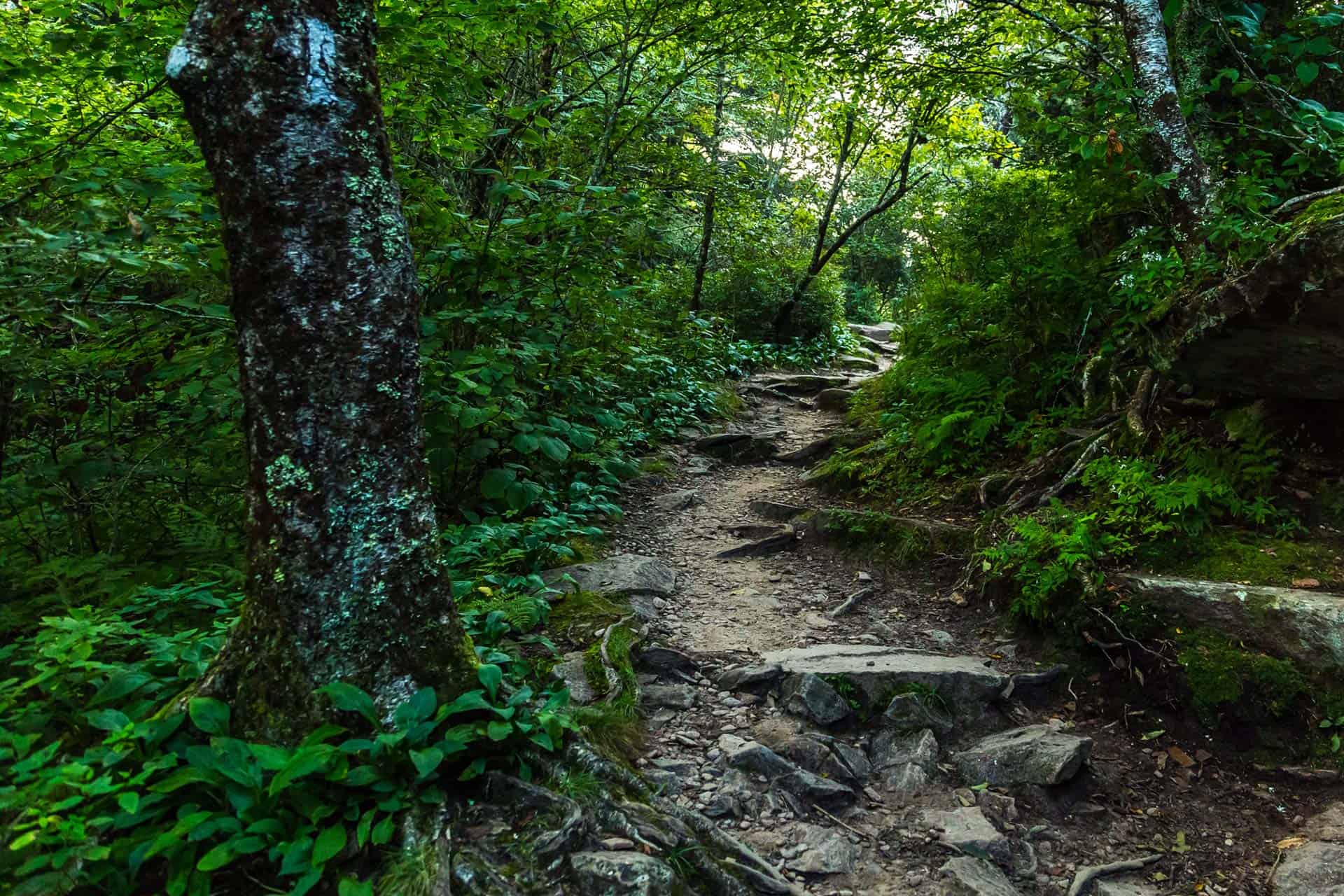 Appalachian Trail