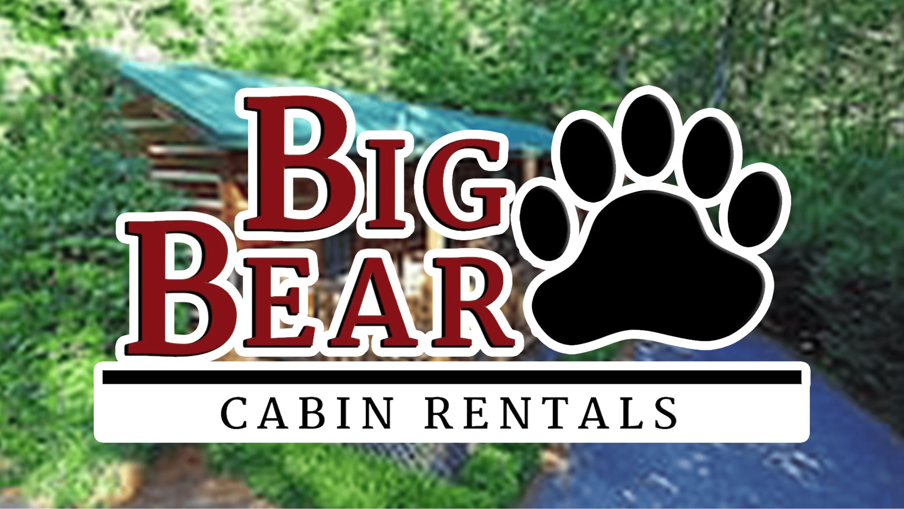 big bear logo